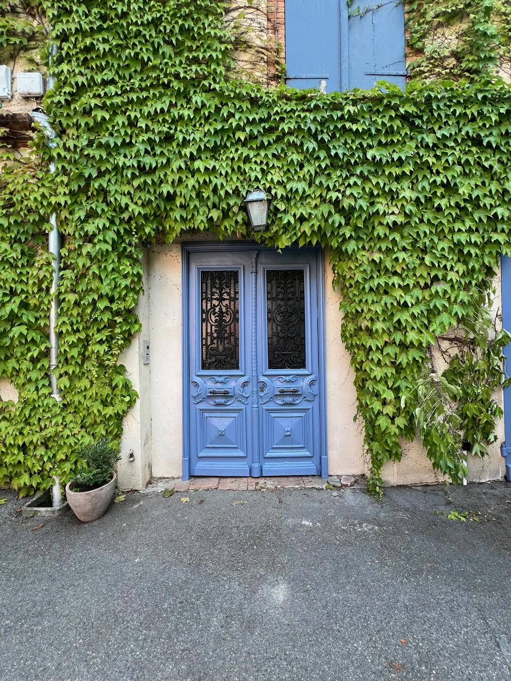 Porte d'entrée ancienne à double battant en bois restaurée et repeinte, façade couverte de vigne vierge, restauration ManufactureVB